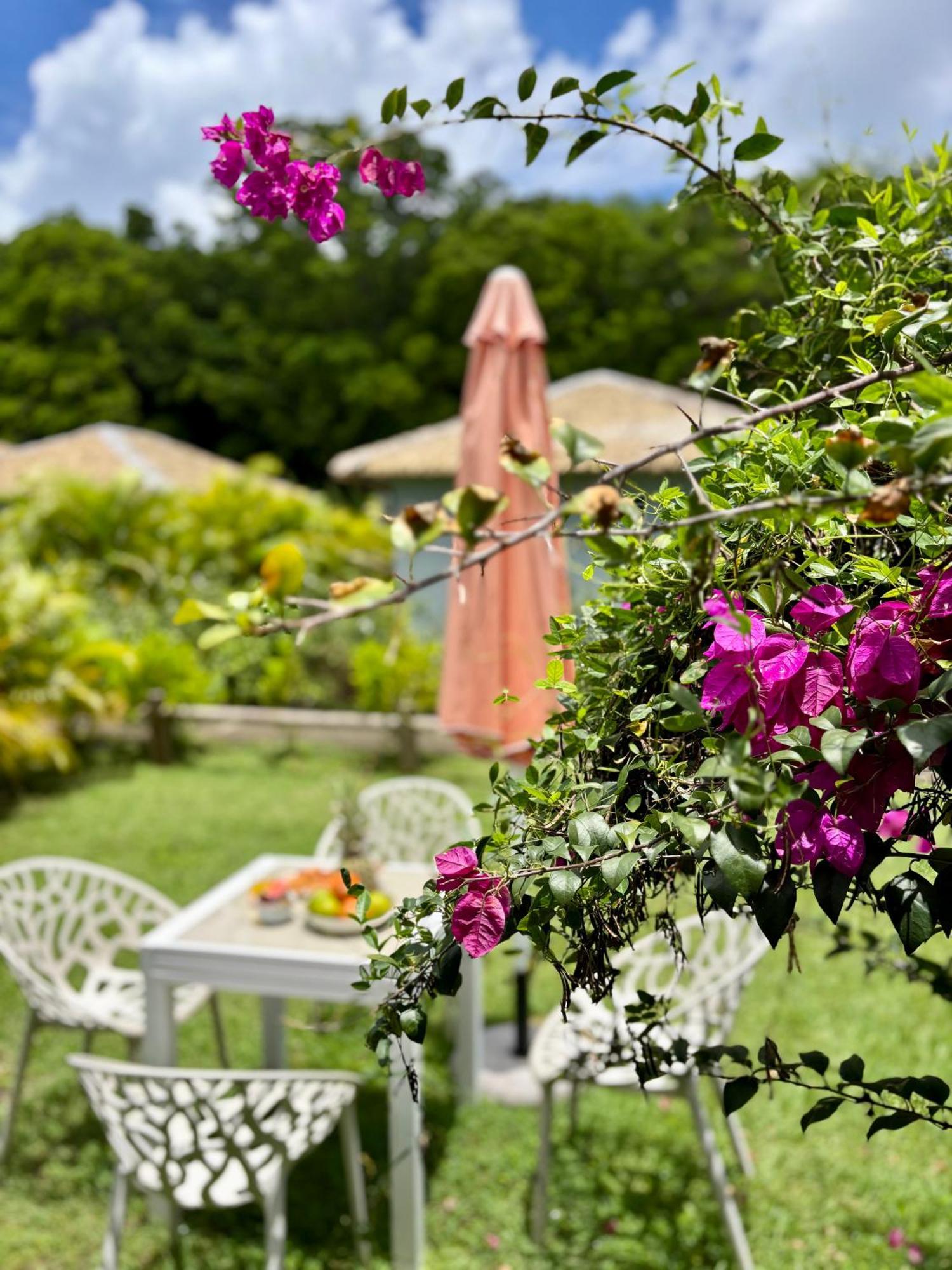 Katalea - Blue Dream, Plage, Piscine, Bar Grand-Bourg (Marie Galante) Exterior foto